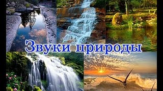 Учим времена года  Учим звуки природы  Видео для самых маленьких