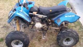 yz80