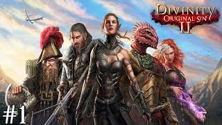 Divinity: Original Sin II (слепое прохождение) — Пленённый Маг. #1