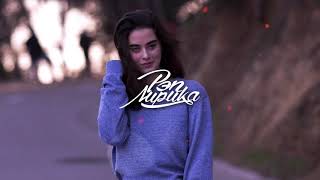 Дульский - Две птицы (2020)
