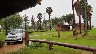 VENDE SE FAZENDA CHÁCARA CEDRO UBERABA video2