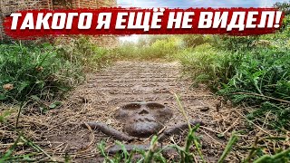 Такого я ещё не видел! | Татарстан, Алексеевский район, с.Базяково