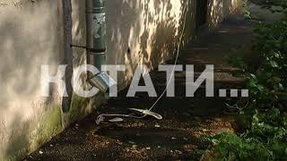 83-летний пенсионер по бельевой веревке выбрался из окна квартиры, где удерживали в заточении