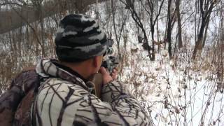 Охота на кабана в Приморском крае \ Hunt on boar in Primorskiy kray, Russia