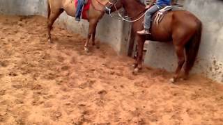 Vaquejada Mirim Parque Pai e Filho
