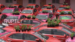 Thailand: Abandoned taxis in Bangkok used to grow food for jobless drivers
