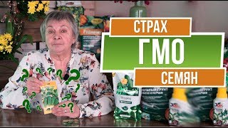 ЧЕМ СТРАШНЫ ГМО СЕМЕНА ✖️ Огурец Герман – гибрид или ГМО garden zoo
