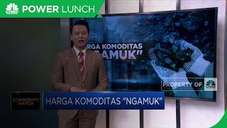 Harga Komoditas ‘Ngamuk’