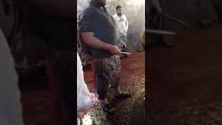 Faisalabad slaughter house