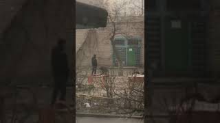 Перекопали половину детской площадки, кладоискатели, закладулькины ищут закладку Калиновая, 73