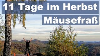 11 Tage im Herbstwald - Tag 10: ? Eiderberg, Eiderbachtal, Kirschfelsen - Mäuseturm im Pfälzerwald