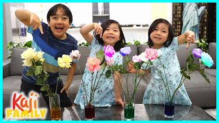 Color Changing Flowers Easy DIY Science Experiments for kids!