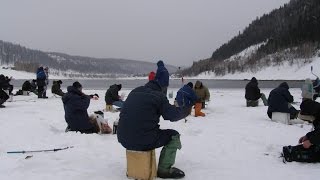 Fish Finder тестирование зимой