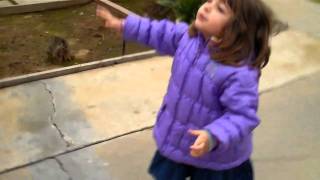 Salma's Balloon Flies Away