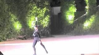 Variation de Siegfried, "Swanlake" R.Noureev