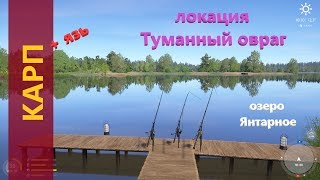 Русская рыбалка 4 - озеро Янтарное - Карп и язь на новые оснастки