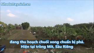 ĐÃ BÁN XONG ------- Bán 6 mẫu đất trồng mít, sầu riêng cách ranh khu công nghiệp Phước Đông 1km