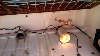 Inkubator Самодельный Инкубатор своими руками из холодильника