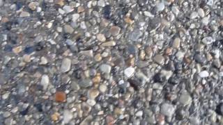 Exposed Aggregate Concrete Walkway.