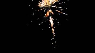 Silvester 2015/2016 Österreich