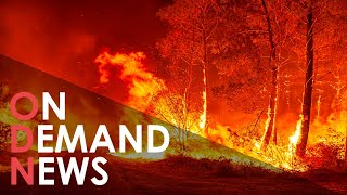 'MONSTER' Wildfire Forces Thousands to Flee in France