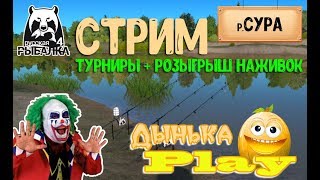 Русская Рыбалка 4! Турниры для новичков! Розыгрыши наживки! Спец. розыгрыш на 100 подписчиков!