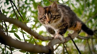 ревность измена недоверие в семье консультация семейного психолога