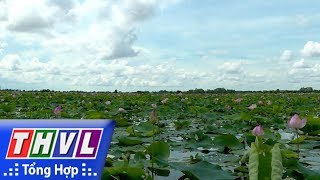 THVL l Ký sự truyền hình:  Láng Sen - Vùng Đất Ngập