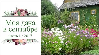 Моя дача в сентябре 2017г. Часть 1.