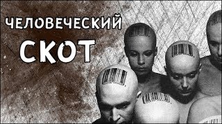 ЭКСПЕРИМЕНТЫ НАД ЛЮДЬМИ 2019, Эффект сотой обезьяны, Планетарная решетка.
