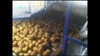 Γραμμή Διαλογής Πατάτας - Potatoes Sorting, Grading and Packing Line_Novatec