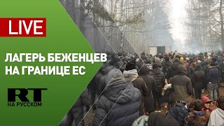 Обстановка в лагере мигрантов на границе Польши и Белоруссии — LIVE