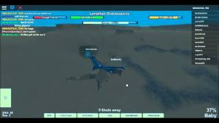 //MAKULETZxD_TDM//Two leviathan Shastasaurus//