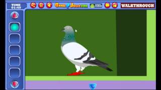 Marvelous Suite Escape Walkthrough - Games2Jolly