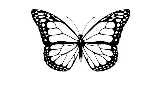 How to Draw a Butterfly / Как нарисовать бабочку