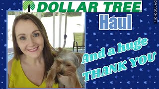 Small Dollar Tree haul♡HUGE Thank you