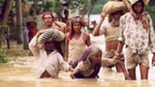 Majhi Tor Radio Nai Boila -Maqsood/Feedback
