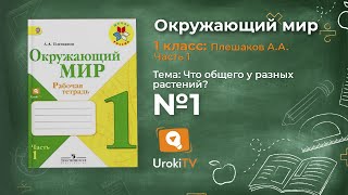 Задание 1 Что общего у разных растений? - Окружающий мир 1 класс (Плешаков А.А.) 1 часть