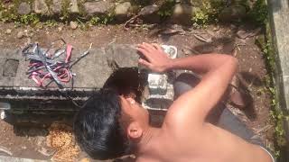 Memindahkan koloni lebah dari dlm kuburan part 1