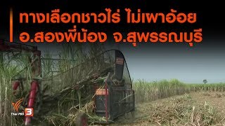 ทางเลือกชาวไร่ ไม่เผาอ้อย อ.สองพี่น้อง จ.สุพรรณบุรี : สถานีร้องเรียน (21 ม.ค. 63)