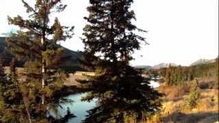 GoPro Bison Hunting