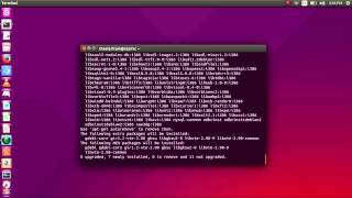 Ubuntu 15.04 - How to Install and Run TeamViewer
