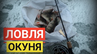 ЧТО такое ПЯРНУСКИЙ КОМБАЙН? ♦ ЛОВЛЯ ОКУНЯ ♦ Ahvenapüük kombainiga