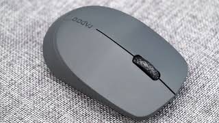 RAPOO Wireless Mouse-M100