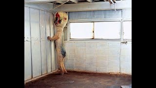 Containment Breach I Scream like a Little Sissy