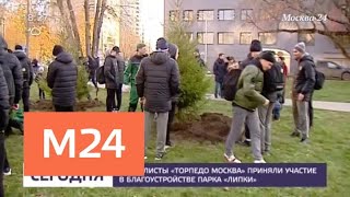 Игроки ФК "Торпедо" приняли участие в благоустройстве парка "Липки" - Москва 24