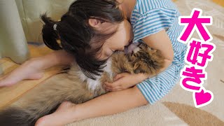 もはやぬいぐるみ？子供の愛を受け入れ大親友になった猫