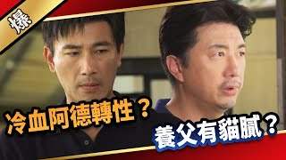 《八點檔搶先爆》愛的榮耀 EP6 冷血阿德轉性？ 養父有貓膩？