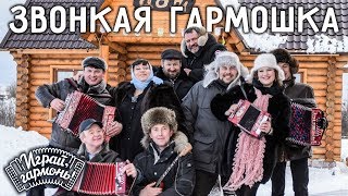 Играй, гармонь! | Ансамбль Геннадия Заволокина «Частушка» | Звонкая гармошка