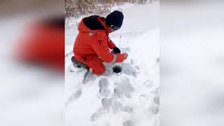 10 км от Кировского водохранилища на Кушум канале.